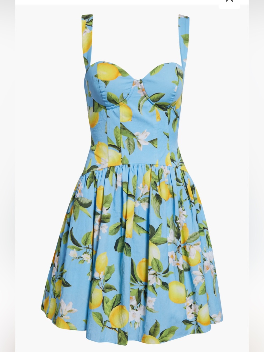 L'AGENCE Jai Lemon Floral Print Corset Style Flowy Drop Waist Mini Dress Size 4